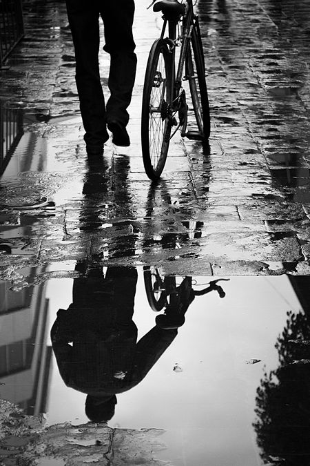ไฟล์:Bicycle reflections.jpg