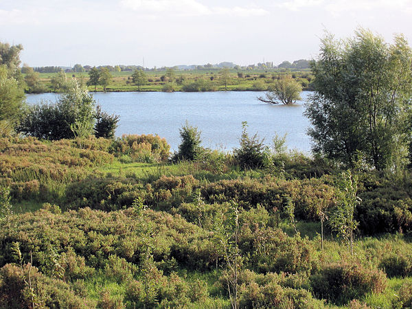 A site in Utrecht's nature reserve, Blauwe Kamer [nl] near Rhenen