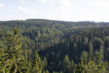 Blick vom Kämmleinsfelsen (MGK13116).jpg