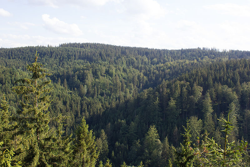 File:Blick vom Kämmleinsfelsen (MGK13116).jpg