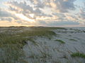 Bon Secour National Wildlife Refuge