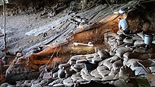 Excavations at Border Cave showing stratigraphy on the North section of the site Border cave excavations.jpg