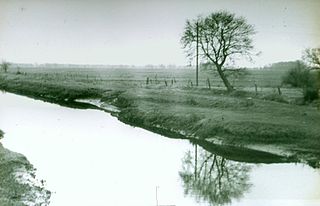 <span class="mw-page-title-main">Sagter Ems</span> River in Germany