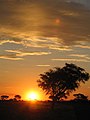 Sunset in Botswana