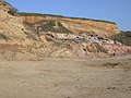 Brandungskliff am Steigerberg mitsamt Deckschichten der Alzey-Formation. Blick von Nordwesten