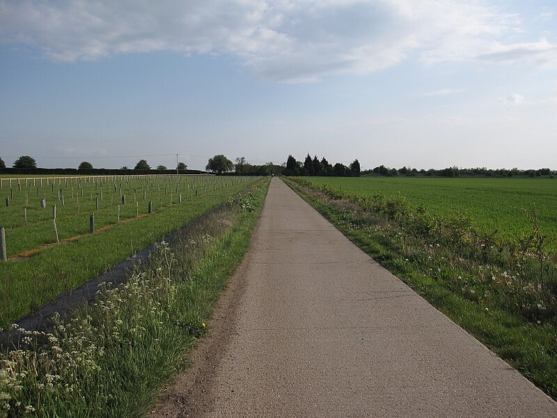 File:Bridleway to Haslingfield - geograph.org.uk - 1976871.jpg