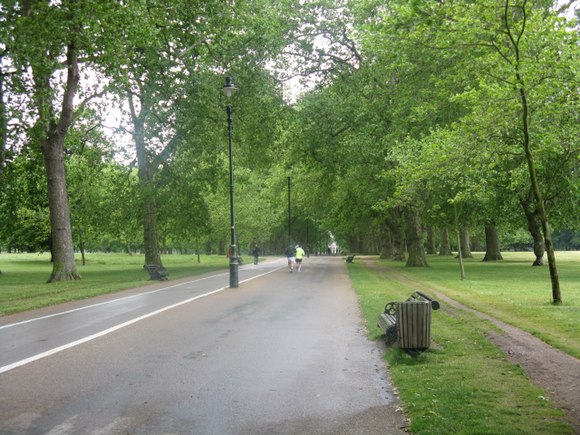 Un viale alberato di Hyde Park a Londra.