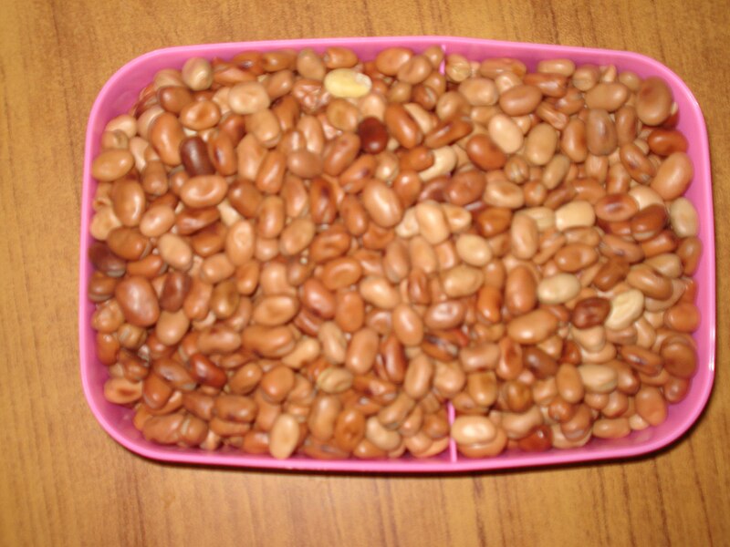 File:Broad beans.JPG