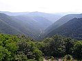 Forest landscape in Bulgaria