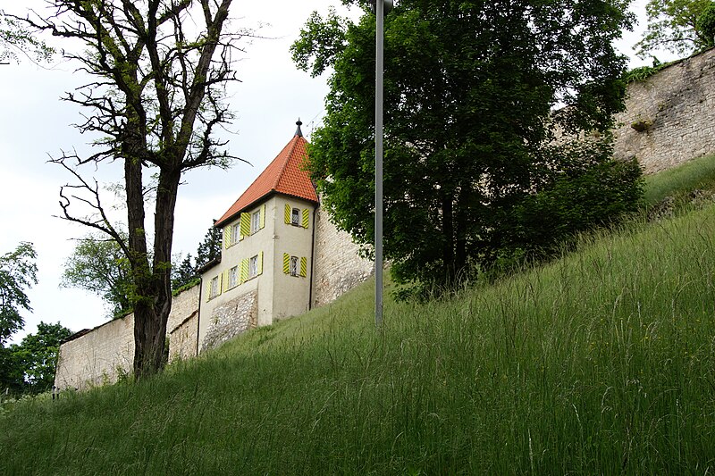 File:Burg Burglengenfeld 045.jpg