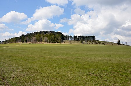 Burgbühl bei Tanneck (Obernheim)