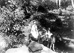 COLLECTIE TROPENMUSEUM Pastoor met misdienaar te paard opweg naar afgelegen kampong voor bediening Flores TMnr 10000695.jpg