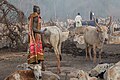 Campamento de ganado de la tribu Mundari, Terekeka, Sudán del Sur, 2024-01-28, DD 40