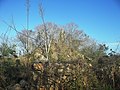 Vista de la hacienda Cancabchén Casares.