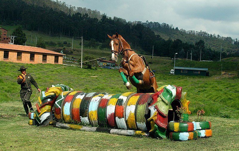 File:Carabineros (13959355365).jpg