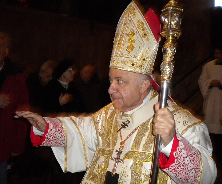 File:Cardinal Tettamanzi in Lodi Jan 19th 2011.jpg