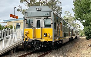 Carlingford Line- Telopea (cropped).jpg