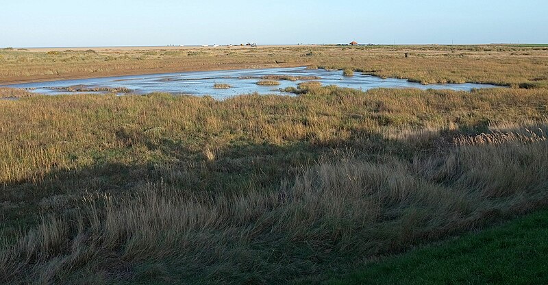 File:Channel of the Glaven, Blakeney Eye - geograph.org.uk - 4810979.jpg