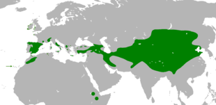 Distribution géographique du Crave à bec rouge en Eurasie et en Afrique.