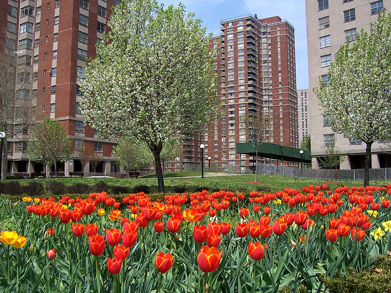 File:Co-op City spring.jpg