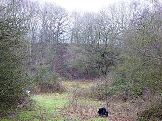 <span class="mw-page-title-main">Cold Ash Quarry</span>