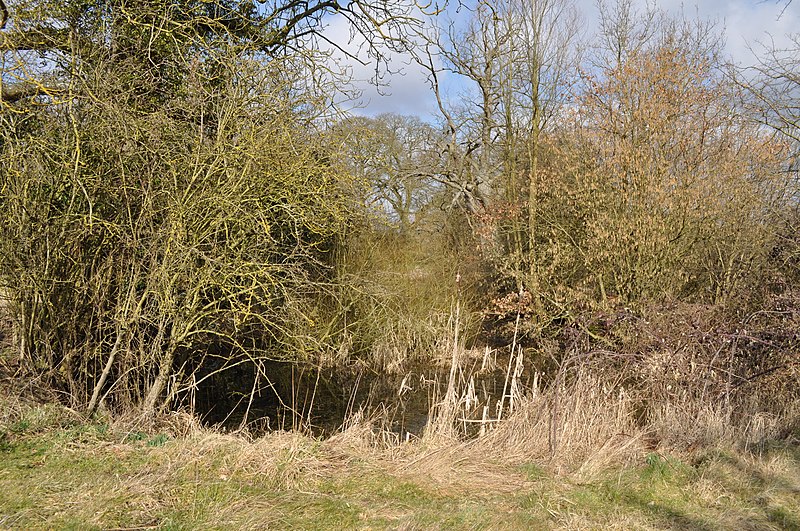 File:College Farm Pingo - geograph.org.uk - 1752596.jpg