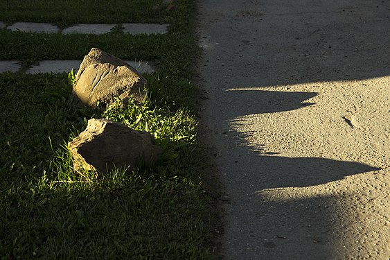 Two stones, grass and shadow