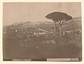 0623 - "Panorama - Girgenti".