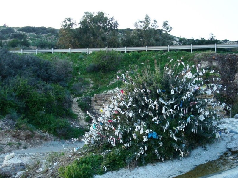 File:Cyprus - Petra Tou Romiou - Wunsch-Strauch.jpg