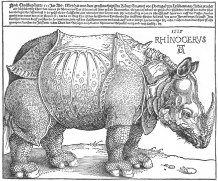 Rhinocerus (Næshorn), træsnitt 1515