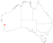 DarwiniapolychromaDistributionMap.png