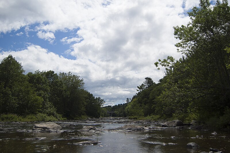 File:Day 4- Kenduskaeg Stream (20253164610).jpg