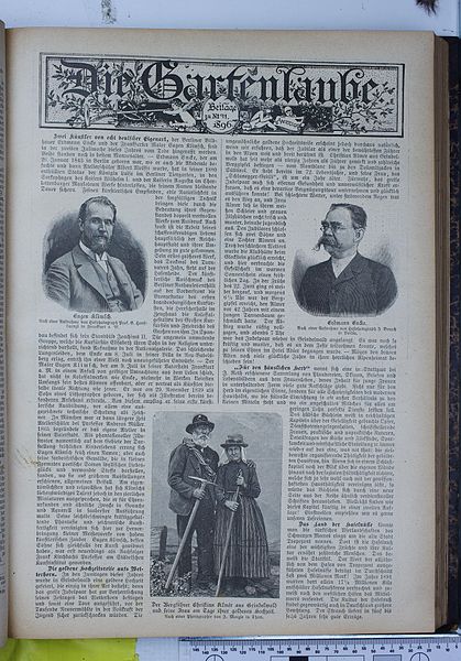 File:Die Gartenlaube (1896) 0532 a.jpg
