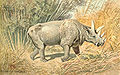 古第三紀中期（始新世）の原始的な草食哺乳類（恐角目）ウインタテリウム、体長3-3.5mあったが脳は小さかった。