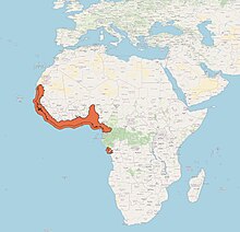 Carte représentant l'aire de répartition native de S. melanotheron selon l'UICN (2024).