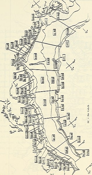 File:Distribution and abundance trends of 22 selected species in the Middle Atlantic Bight from bottom trawl surveys during 1967-1979 - final report to the U.S. Mineral(s) Management Service (1985) (20352467944).jpg