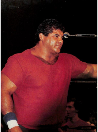 <span class="mw-page-title-main">Don Muraco</span> American professional wrestler