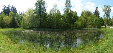 Lago da aldeia