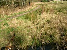 The 1960s bridge abutment at the site of the old Drukken Steps of circa 1966 with the old Toll Road route in the background Drukken Steps Bridges.JPG