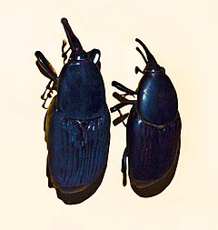 Dryophthoridae - Rhynchophorus bilineatus.JPG