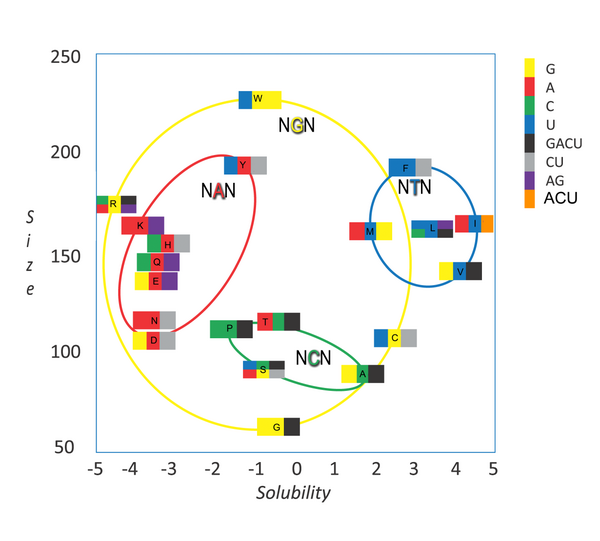 Genetic code - Wikipedia