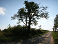 Thumbnail for Owen Township, Clinton County, Indiana