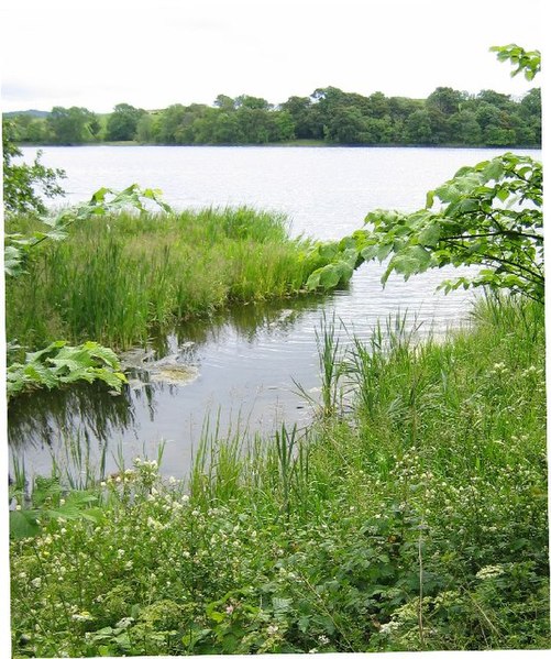 File:Entry of former Carlingwark Canal into Carlingwark Loch, Castle Douglas, Dumfries and Galloway - geograph.org.uk - 48599.jpg