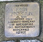 Stumbling block for Erwin Winterstein