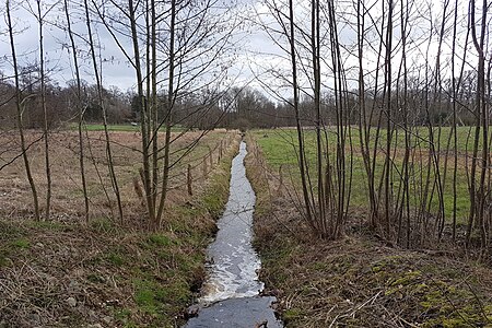 Eschenbach bei Schulenberg