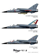 Mirage F1B, Armée de l'Air.