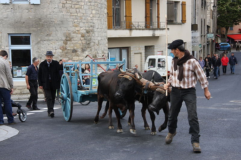 File:FR48 Meyrueis Foire de la Saint-Michel 2012 18.JPG