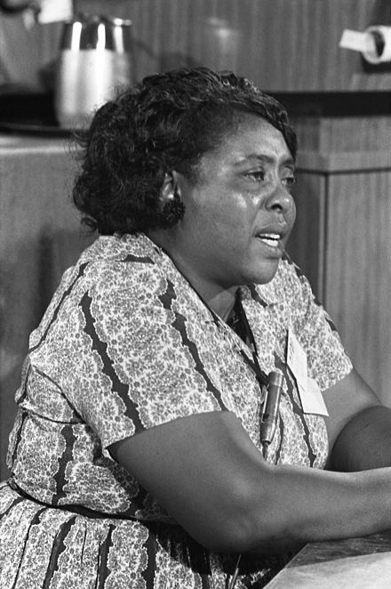 Fannie Lou Hamer, mid-speech to the credentials committee