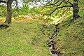 Feeder stream to the Afon Corrwg Fechan - Glyncorrwg - geograph.org.uk - 1502503.jpg