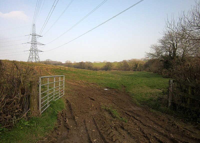 File:Field, Wheatley - geograph.org.uk - 4398769.jpg